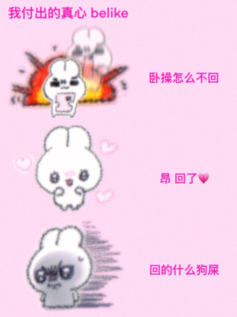 木木之兔 tweet media