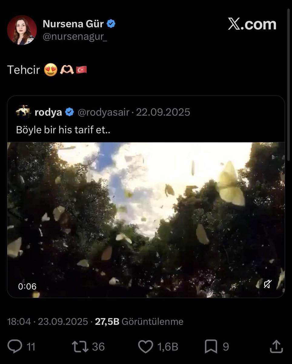 ssametedit tweet media