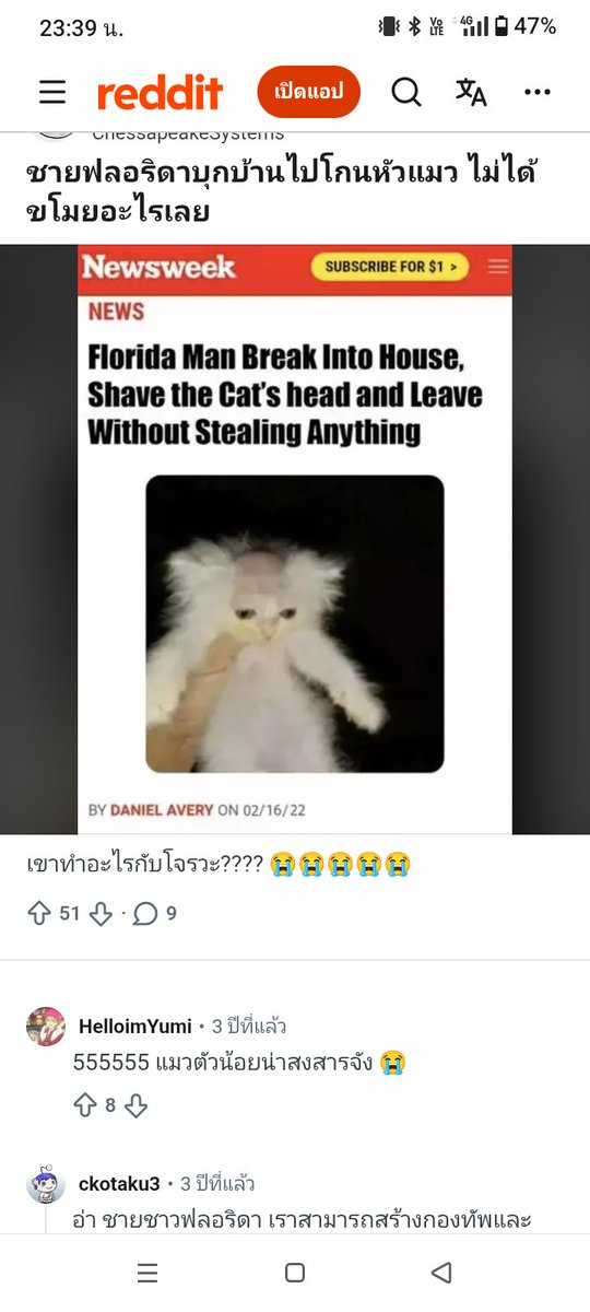 Bosxanova tweet media