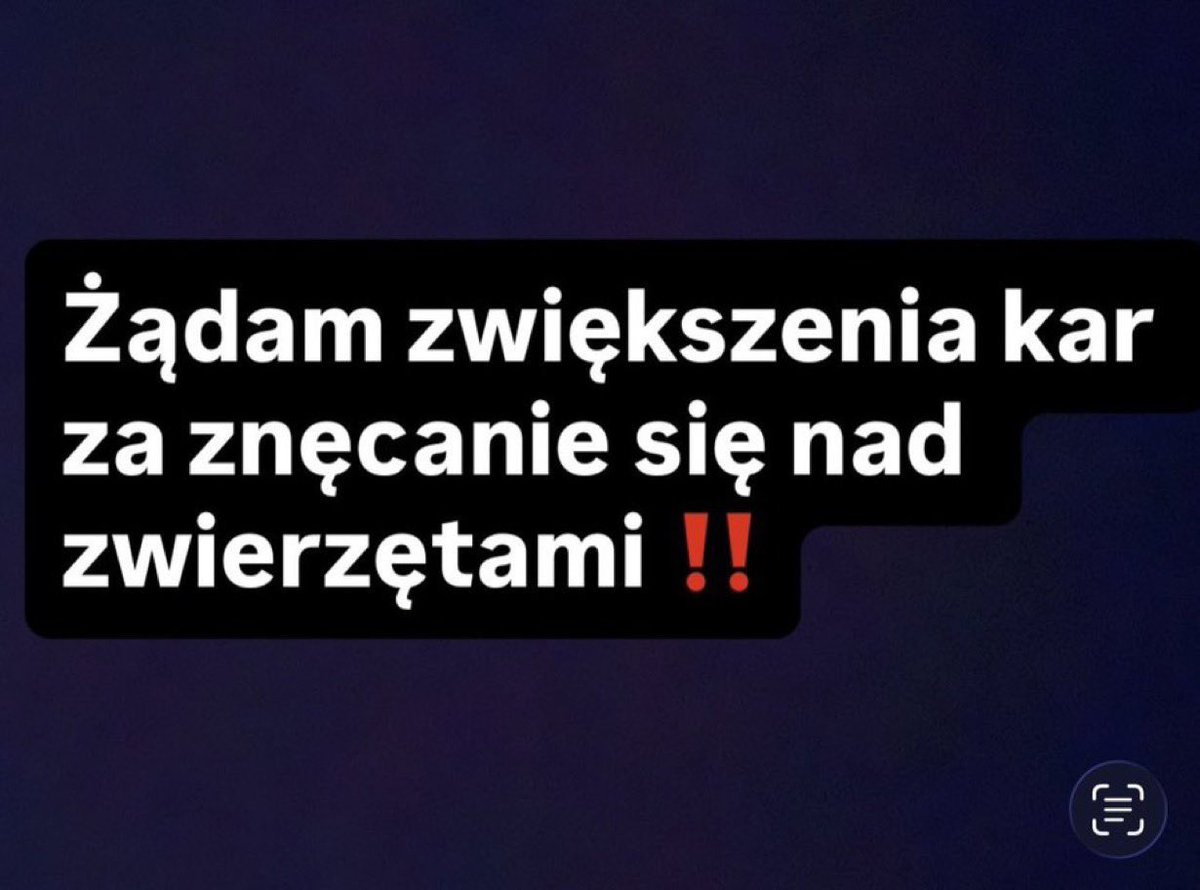 Monika Raczynska - Weitzel tweet media