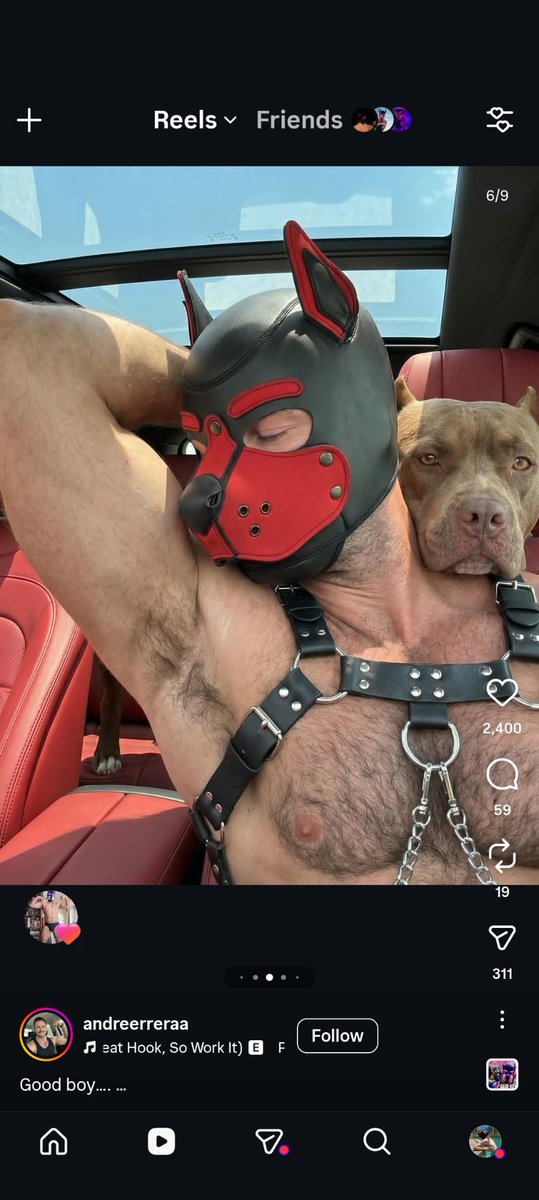 Pup_bloom's tweet photo. Ok there's something we need to talk about in the puppy community so many accounts are just posting nothing but ai generated pictures and videos. How are we ok with this. How does it seem like nobody else is noticing there are quite a few puppy accounts with 10k+ followers 1/2 https://t.co/XVIZtFOgOe