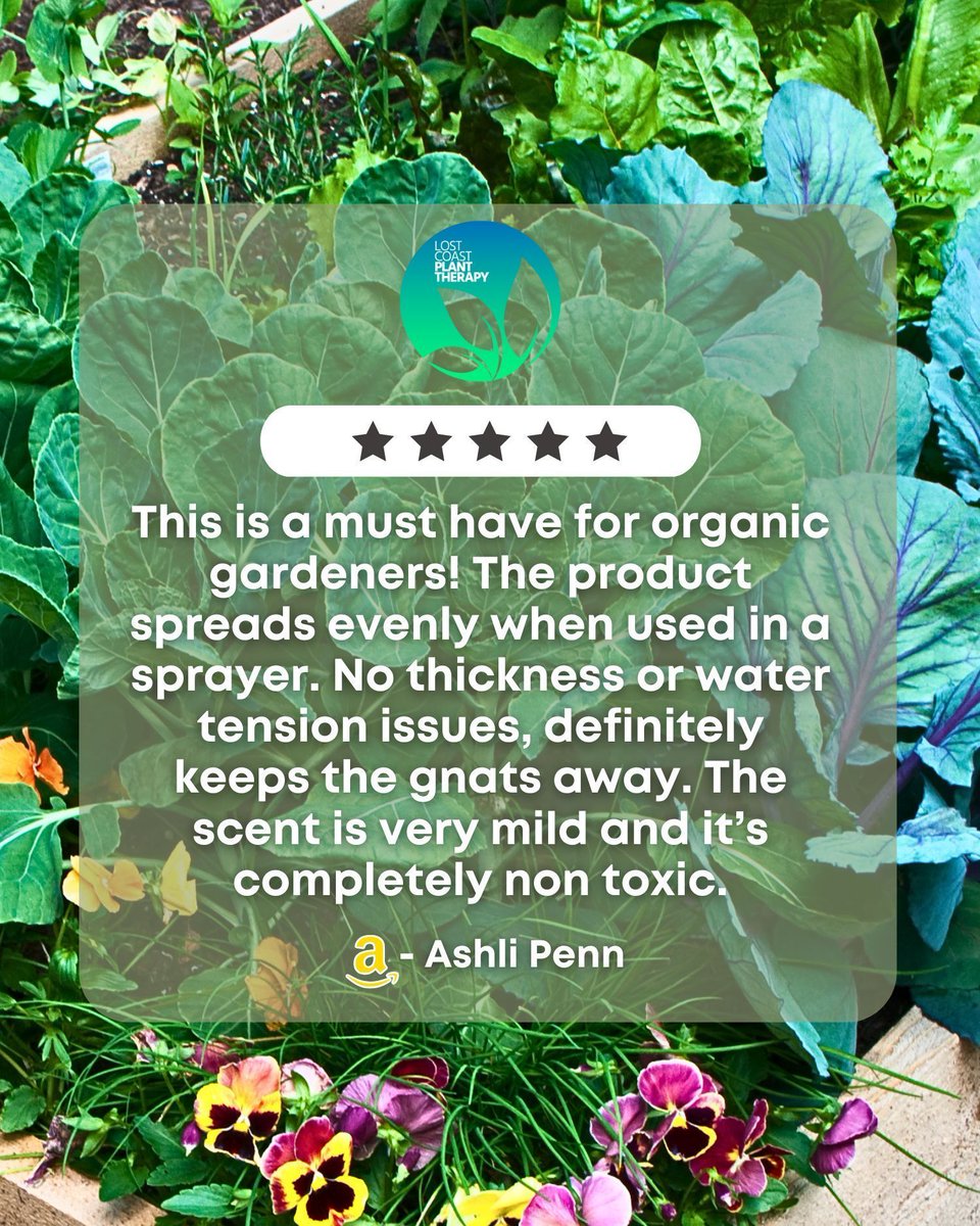 We built Lost Coast Plant Therapy for gardeners who actually care about what's in the bottle and what ends up on their plants. 💦

This is exactly the experience we want every gardener to have. A product that just works and doesn't make you second guess what's landing on your