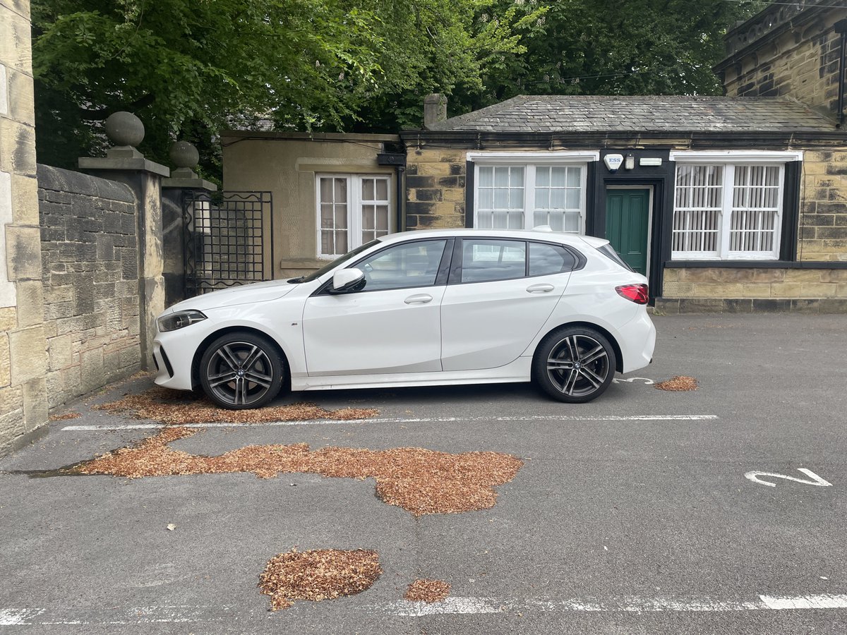 Sürücü Adayı Berat “Eski Mustang” tweet media
