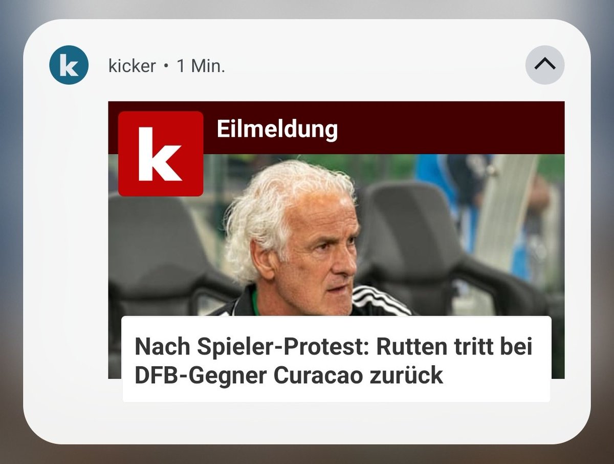 Vertragsamateur Belamigović tweet media