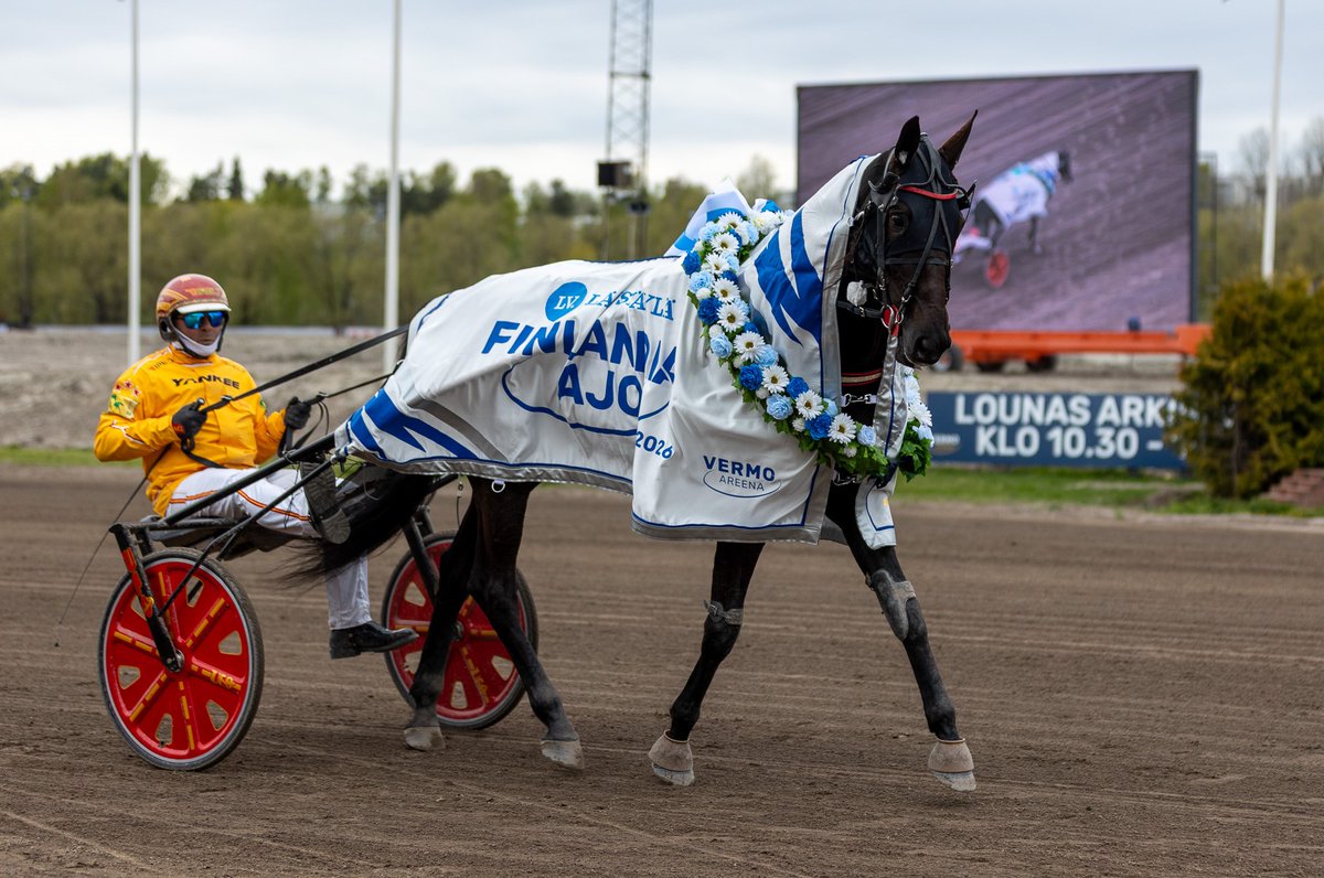 Vermo Areena tweet media