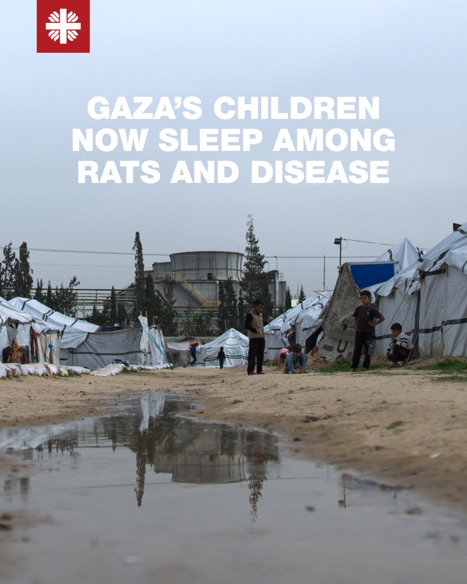 iamCARITAS's tweet photo. Children in Gaza are waking up screaming as rats bite them while they sleep.

Read the testimony by Harout Bedrossian, Head of Resource Development at @CaritasJLM: https://t.co/Lc1sOwNNcl

We keep all the suffering people in Gaza in our prayers.

Photo Credit Raw Media/@trocaire https://t.co/Fhc6wmzmMu