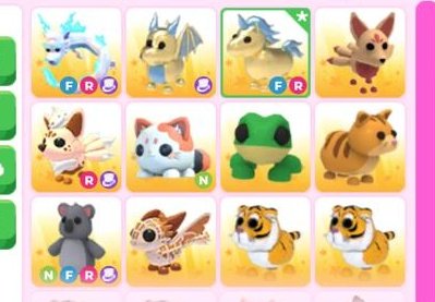 neineyiii's tweet photo. wts Adopt Me pets (ina) 🐾
offer by dm yah

#wts #wtb #wtsadoptme #wtsroblox https://t.co/PbzltwnUxl