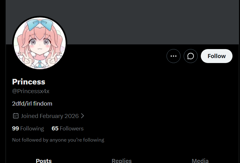 Princess tweet media