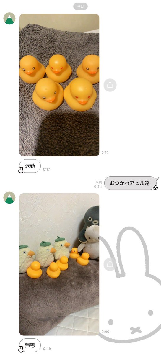likeacoffee_'s tweet photo. 母の日にアヒル送ったら可愛がってくれてるみたいで安心 https://t.co/TgHp8fE3Js