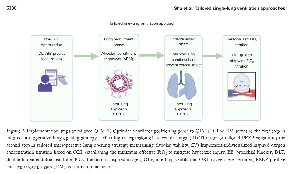 AnestesiologiaR's tweet photo. Enfoques personalizados de ventilación unipulmonar y resultados pulmonares postoperatorios en cirugia torácica.
J Thorac Dis 2025;17(7):5371-5387.
doi: 10.21037/jtd-2025-314.
#ventilation #lung #anesthesia #surgery #intubation #airway #anesthesiology https://t.co/75B7kOl5ha