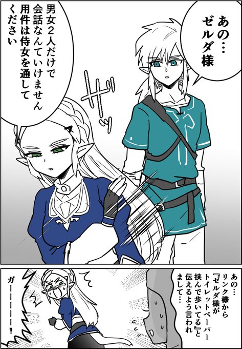 誤解されてはいけないと思ったゼルダ様 