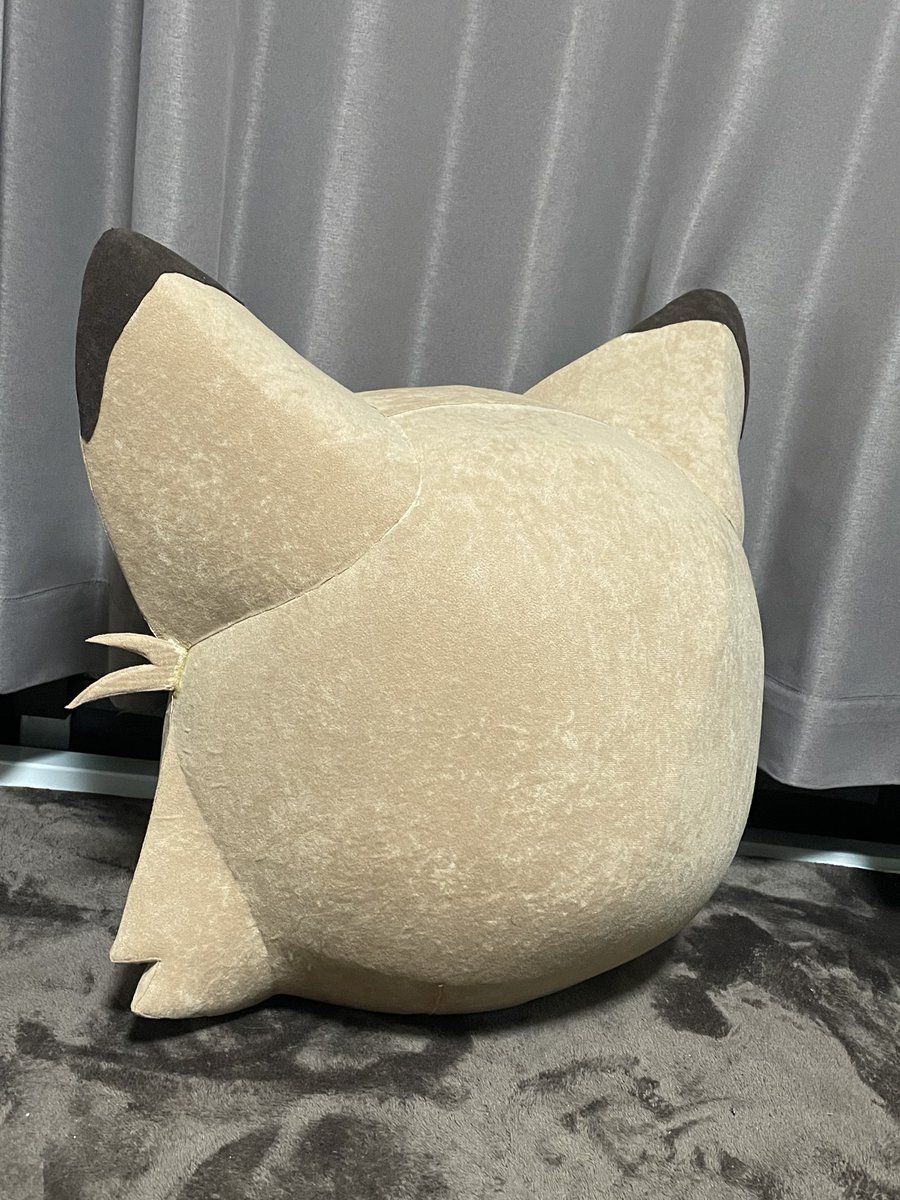 🦄きりゅ🦊ストフェス・いろP tweet media