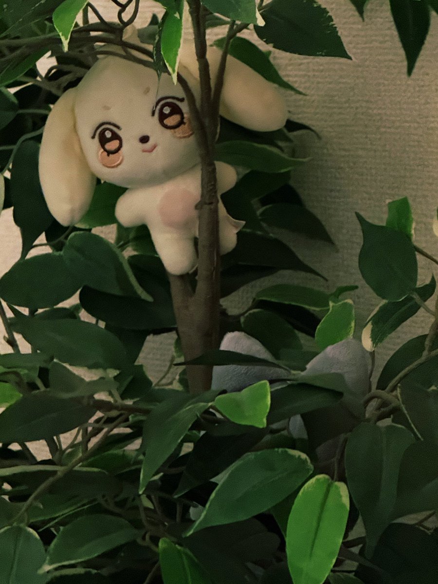 𝚘𝚖𝚒 tweet media