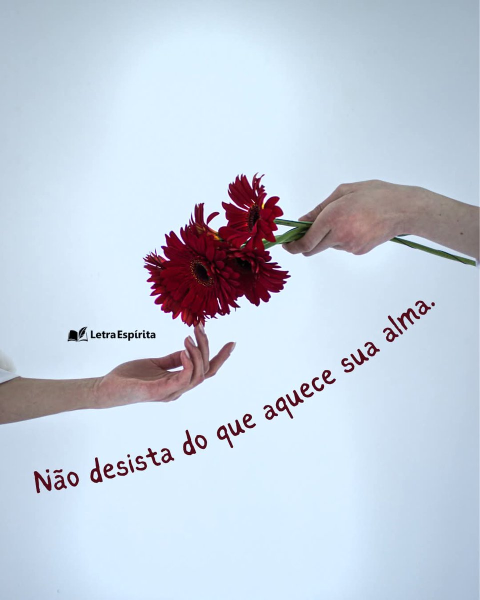 MarMed9's tweet photo. Boa Noite, na Santa Paz. https://t.co/hQreJ9Sj83