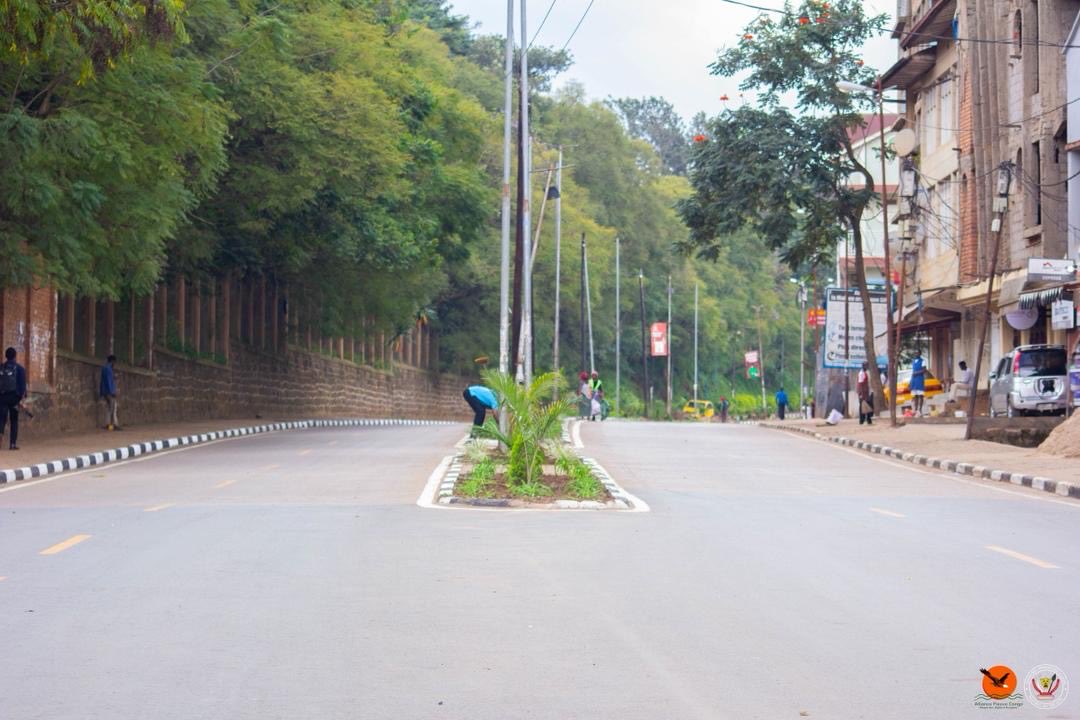 Steve Wembi tweet media