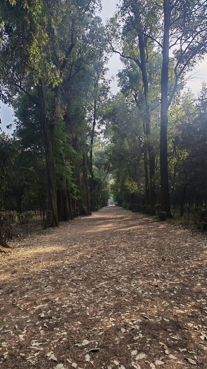 Francisc0Dehesa's tweet photo. No se trata de verte como antes… 
se trata de sentirte mejor que nunca
@yoelegicorrer1 @LoveRunSmile @ManicomioRunner @Aca_Runners @FenixRun_Mexico @CorroAMiPaso @DondeCorrerCDMX @OaxSport @Comunirunners @MeEncantaCorrer @PasionRunner @templorunner @EntreRunners @RoadRunnersOAX https://t.co/TTOk59uvlQ