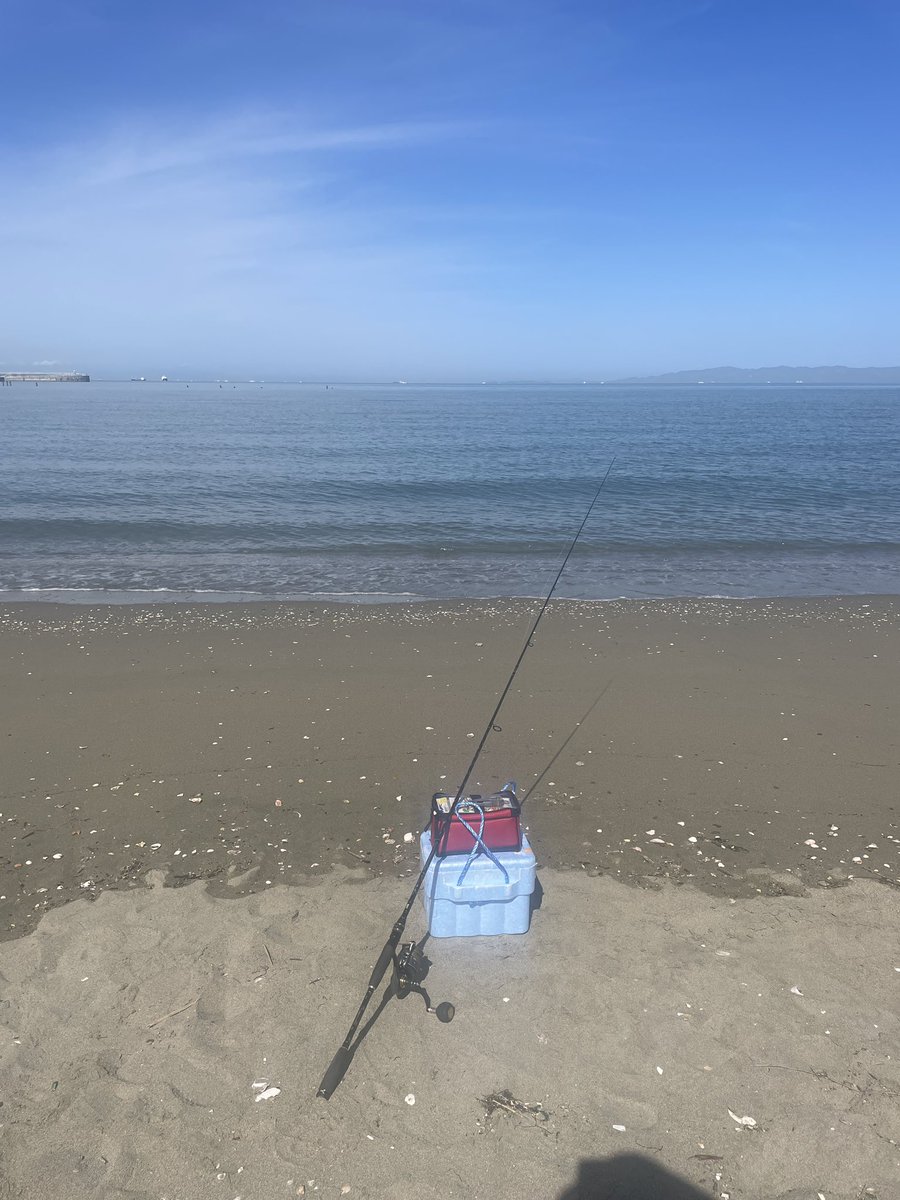 Amamiportrait's tweet photo. 【番外編】
奄美の大浜海岸と雰囲気が似ている
和歌山の浜の宮ビーチ

午前中キス釣りして、
小さかったけど少し釣れました！
和歌山にきたら、
花山温泉に入ろう！

関西いや全国でトップレベルの
炭酸鉄の源泉！ https://t.co/d6FukFi31a