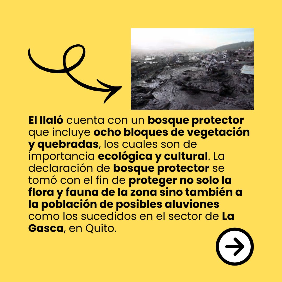 Colectivo_PRODH's tweet photo. 🌋⚖️ Histórica victoria para el Ilaló.
La justicia reconoció la vulneración de los derechos de la naturaleza 🌱 y ordenó proteger y restaurar este bosque protector frente a la expansión inmobiliaria 🚧🏘️.
#EditorialProdh #Ilaló #JusticiaAmbiental #Quito
https://t.co/ikSS4PpCkf https://t.co/NhIuak5A4N