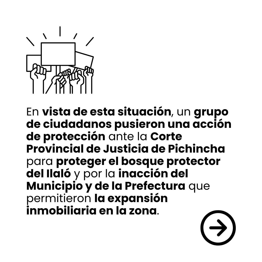 Colectivo_PRODH's tweet photo. 🌋⚖️ Histórica victoria para el Ilaló.
La justicia reconoció la vulneración de los derechos de la naturaleza 🌱 y ordenó proteger y restaurar este bosque protector frente a la expansión inmobiliaria 🚧🏘️.
#EditorialProdh #Ilaló #JusticiaAmbiental #Quito
https://t.co/ikSS4PpCkf https://t.co/NhIuak5A4N