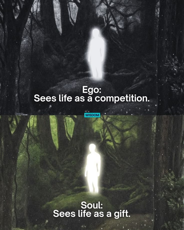 Zen masters (@zenm001) on Twitter photo 
