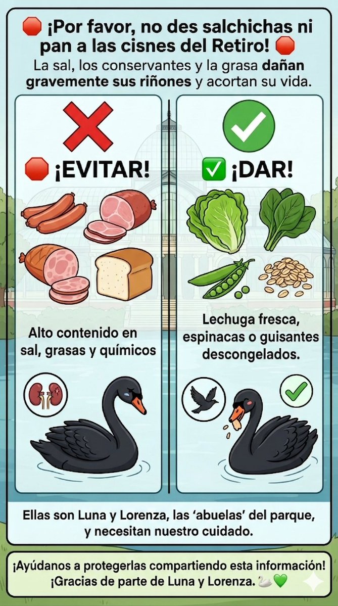 Plumas del Retiro tweet media
