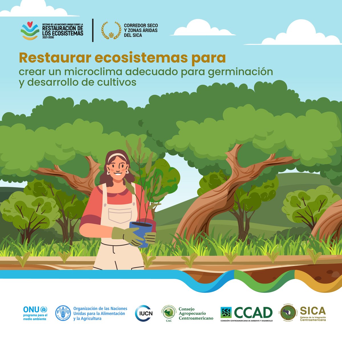 CCAD-SICA tweet media