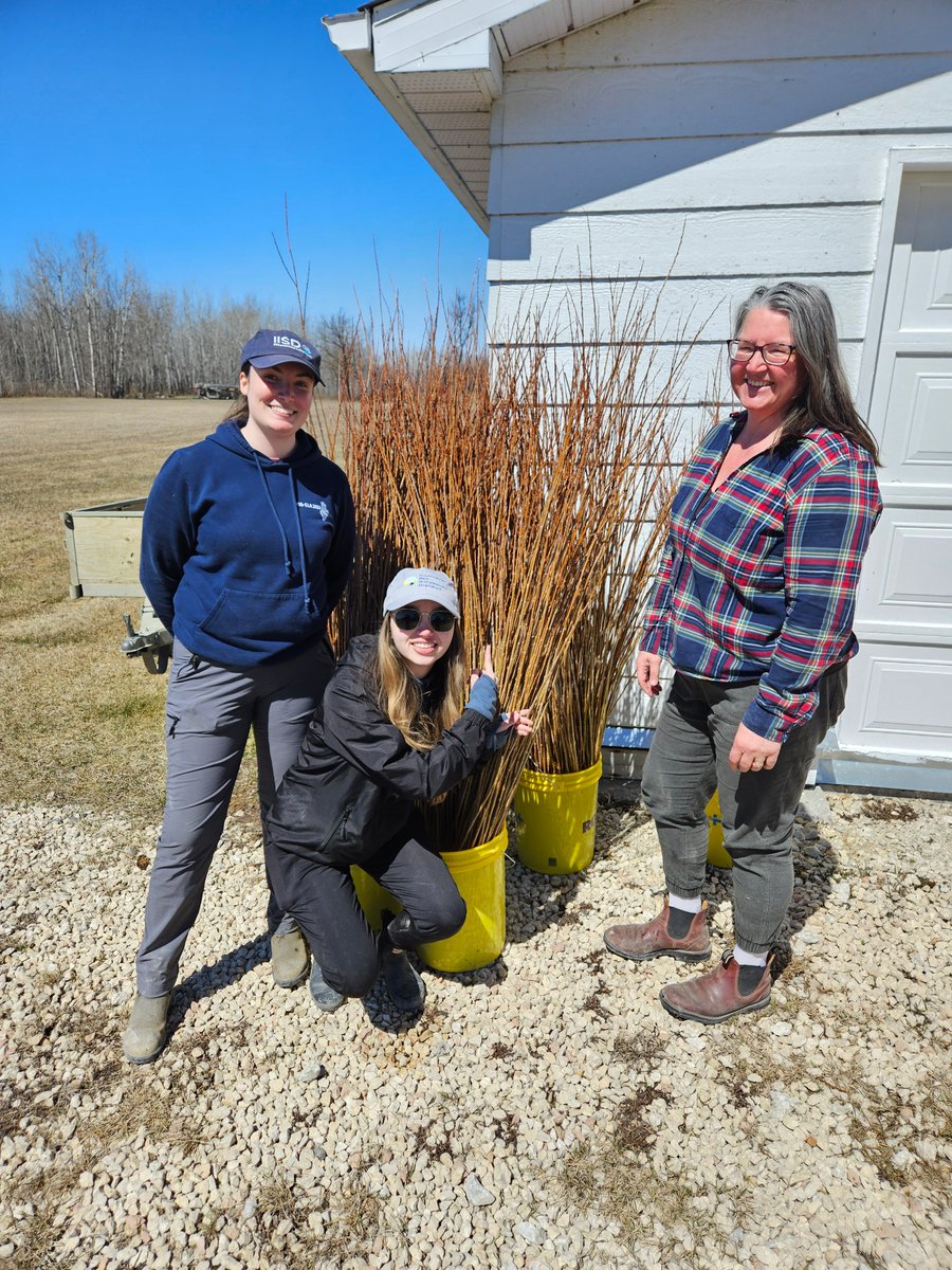 RedRiverBasin's tweet photo. Last week we were out with some of our volunteers and Northeast Red Watershed District harvesting willows to transplant into the Netley-Libau Marsh. Thank you to everyone who volunteered their time and effort! https://t.co/cYskxCAgVp
