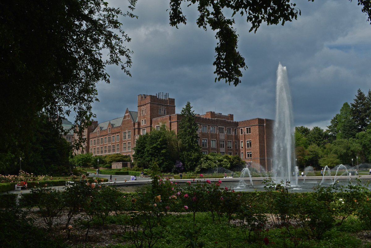 ctr4neurotech's tweet photo. Many UW undergraduate students working in CNT-associated labs will present their work on May 15 at the UW Undergraduate Research Symposium (https://t.co/zLvMwJQGWv…). https://t.co/j6Nan8EJMH