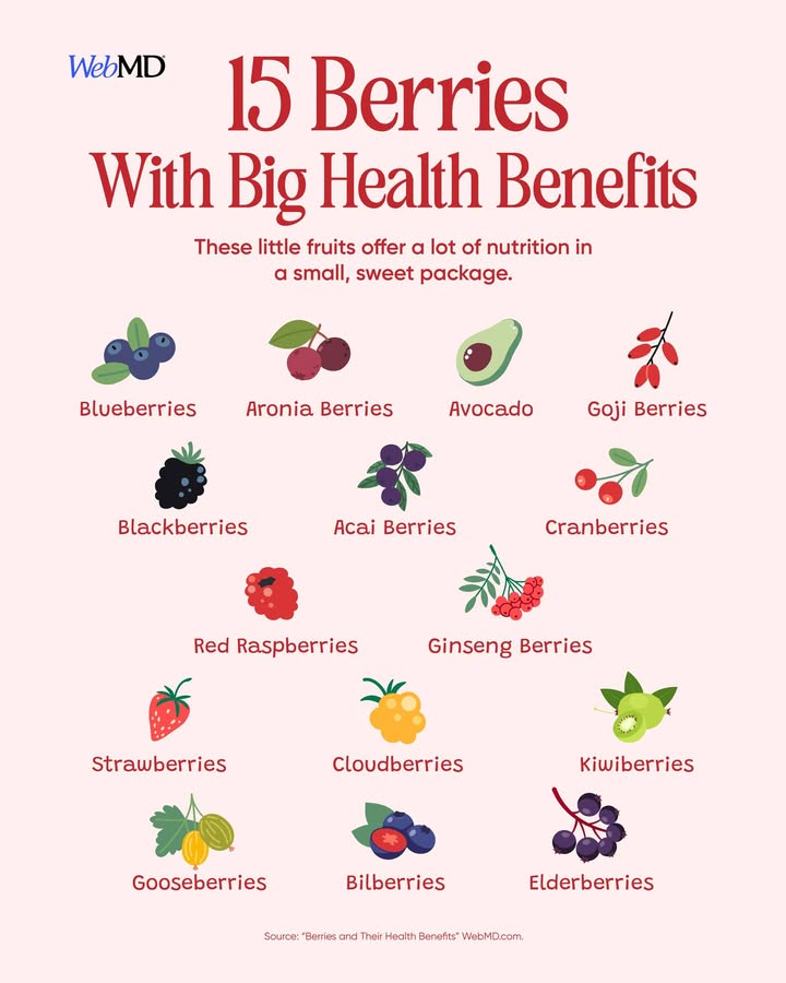 WebMD's tweet photo. Small but powerful 🍓✨ Berries are loaded with antioxidants, fiber, and vitamins that support heart health, reduce inflammation, and help manage blood sugar—add a handful to your day for a natural health boost! https://t.co/WpdIlbDl8i https://t.co/gUXlbFTSgX