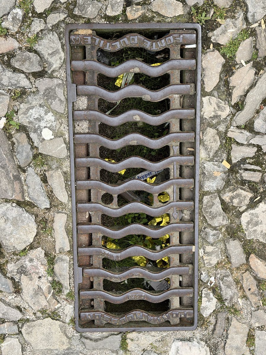 ppcomillas's tweet photo. 🌿 Así se encuentran los imbornales en pleno #CascoHistórico de #Comillas.

Mantenerlos limpios es fundamental para evitar inundaciones y garantizar un correcto drenaje del agua.

🏛️Por ello, en el #PlenoMunicipal realizamos un ruego para que se lleve a cabo su limpieza. https://t.co/mGQV7kwEBw