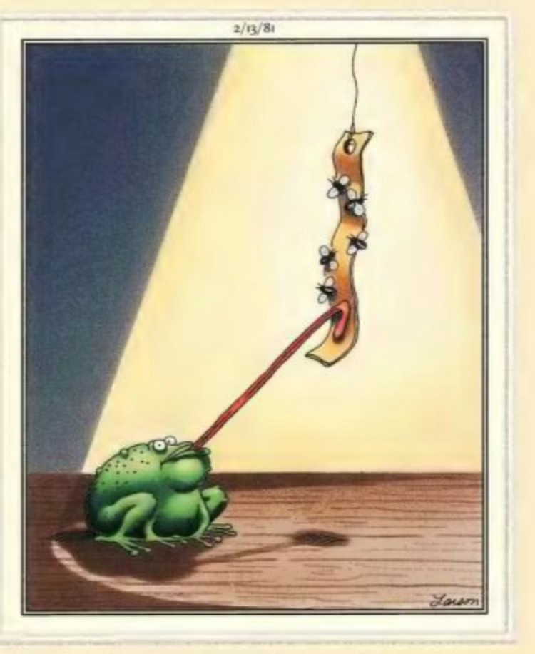 Far Side Fix tweet media