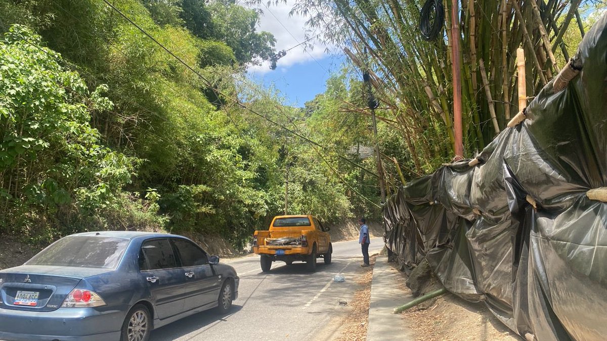 ServiciosElHatillo tweet media