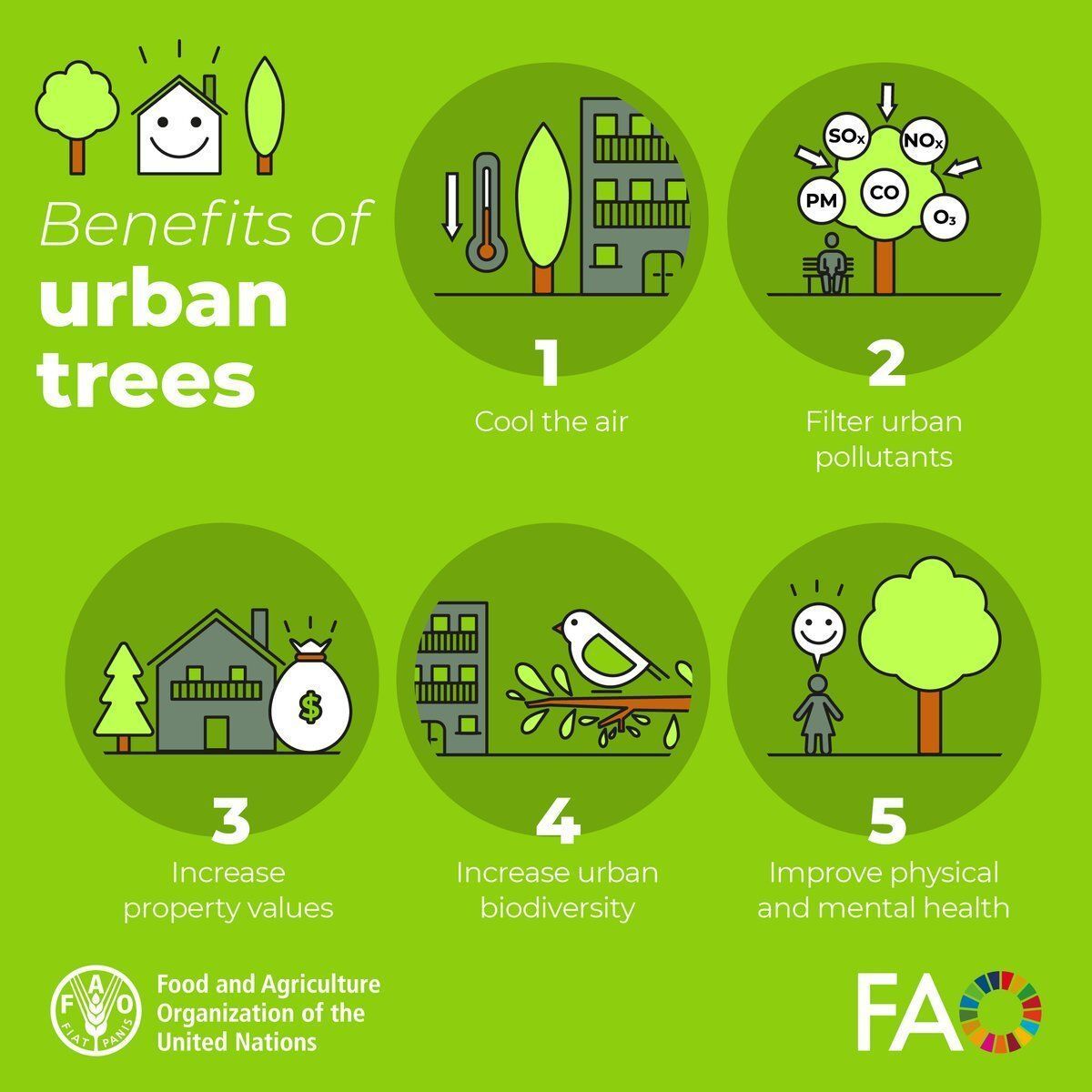 GlobalGoalsUN's tweet photo. 5️⃣ Benefits of urban trees🌳
1️⃣ Cool the air🌬️
2️⃣Filter urban pollutants🚗
3️⃣ Increase property values🏡 
4️⃣ Increase urban biodiversity🦋
5️⃣ Improve physical and mental health🧠
🌳🏙️#GreenCities
https://t.co/Ymo8rtcucW
@FAOForestry https://t.co/tk7VJWJBoU