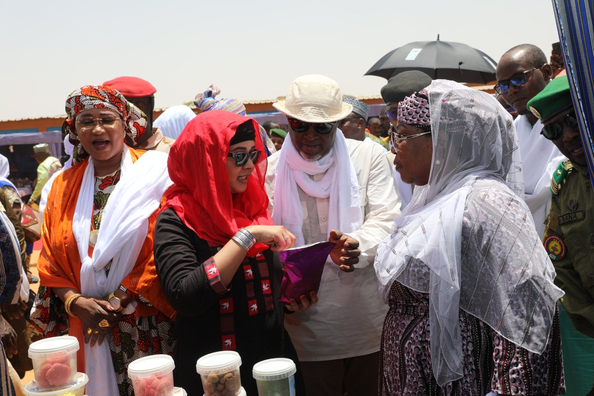 PNUD Niger tweet media