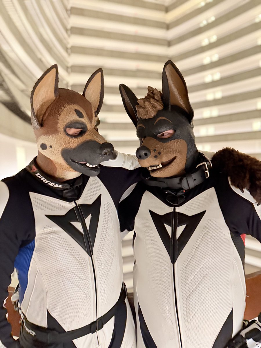 Diesel Shep tweet media