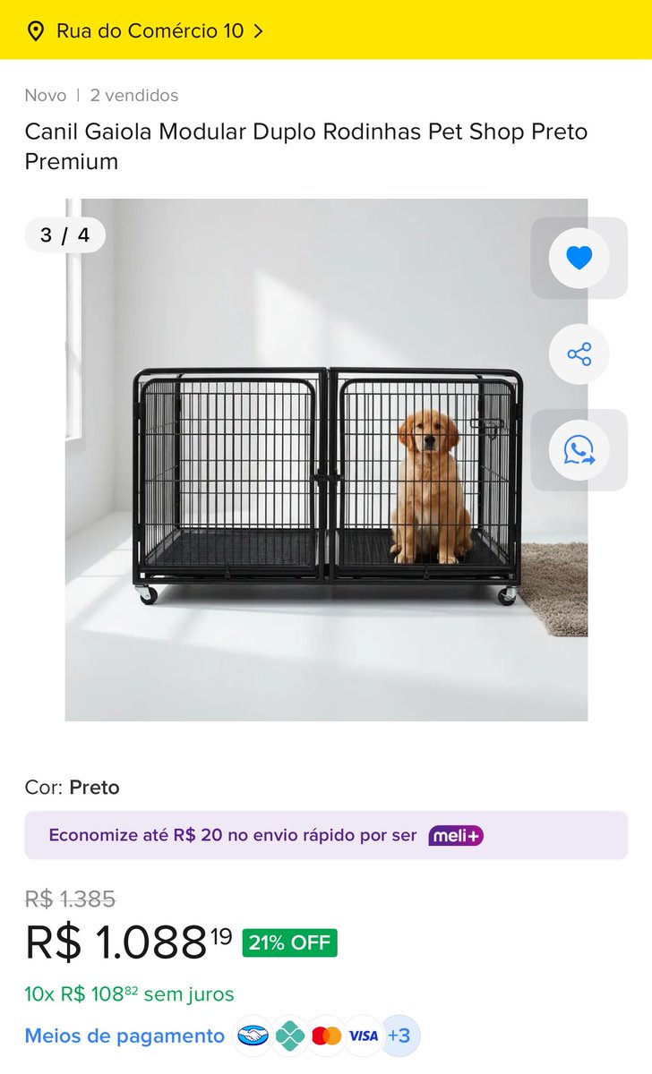 di_abrigo_davi's tweet photo. Florzinha precisa de um canil de recuperação, não aguenta usar frauda o tempo todo e se fica sem é diarreia para todo lado, ela não segura, não dá tempo chegar na areia, o estado dela é muito grave. 
Vou deixar aqui o endereço para quem desejar enviar para Florzinha 
+ https://t.co/TRVpdQDOPE