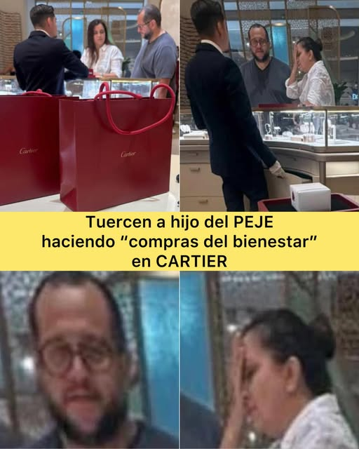 EL TORITO ALFA HETEROPATRIACAPITALISTA tweet media