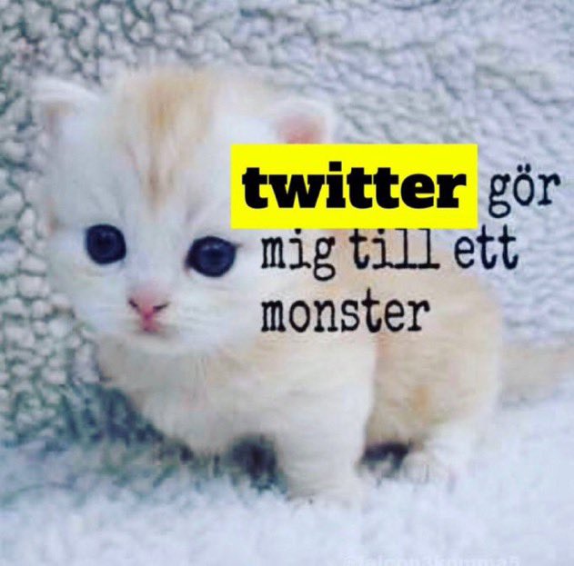 gabe 🐻‍❄️⛑️ tweet media