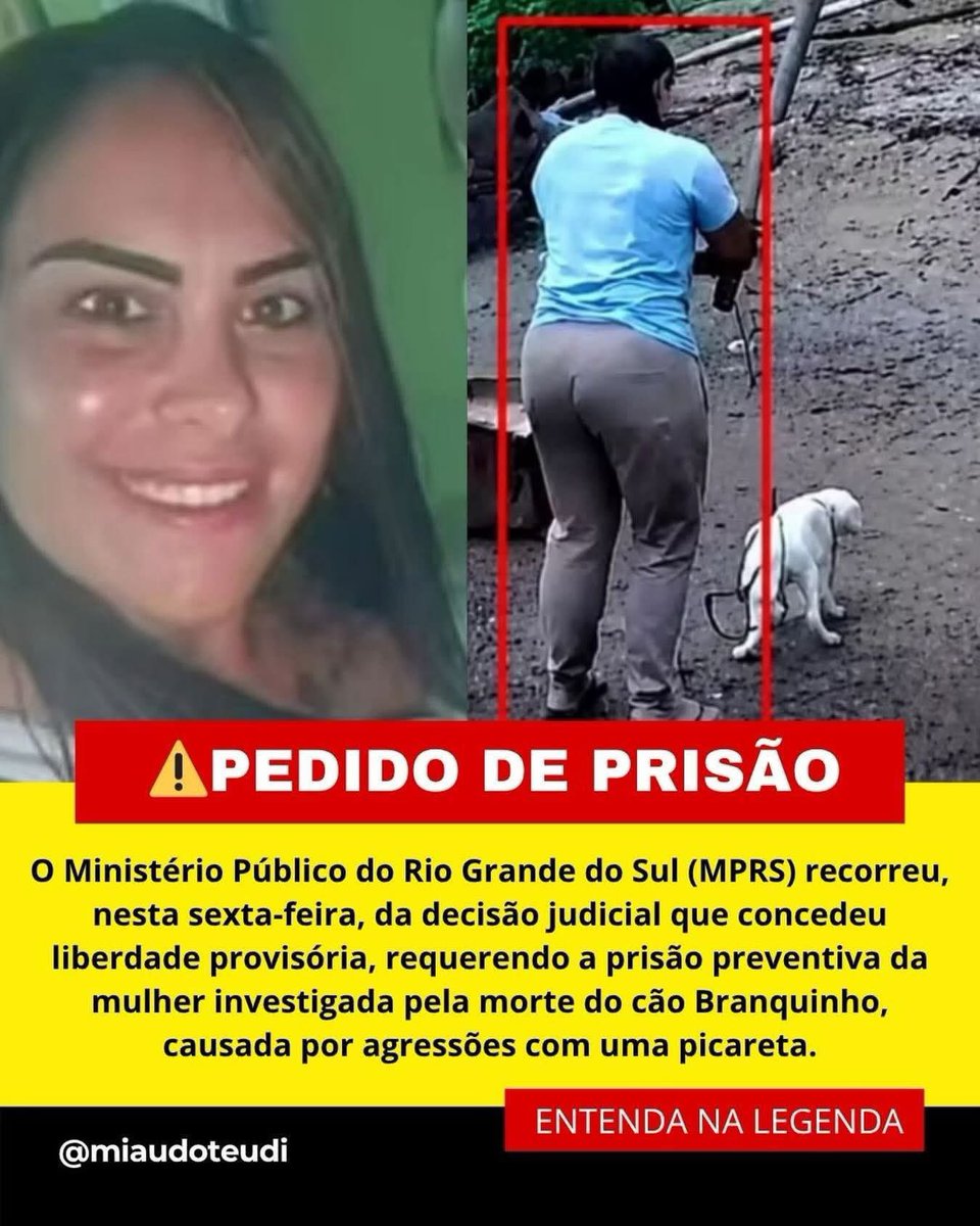 marcelomedici's tweet photo. Cássia de Souza Zatti, a desgraçada que matou um cachorrinho na picareta. tem que ficar presa essa amaldiçoada. #justicapororelha #justicaporbranquinho https://t.co/KMXKhHsS2w