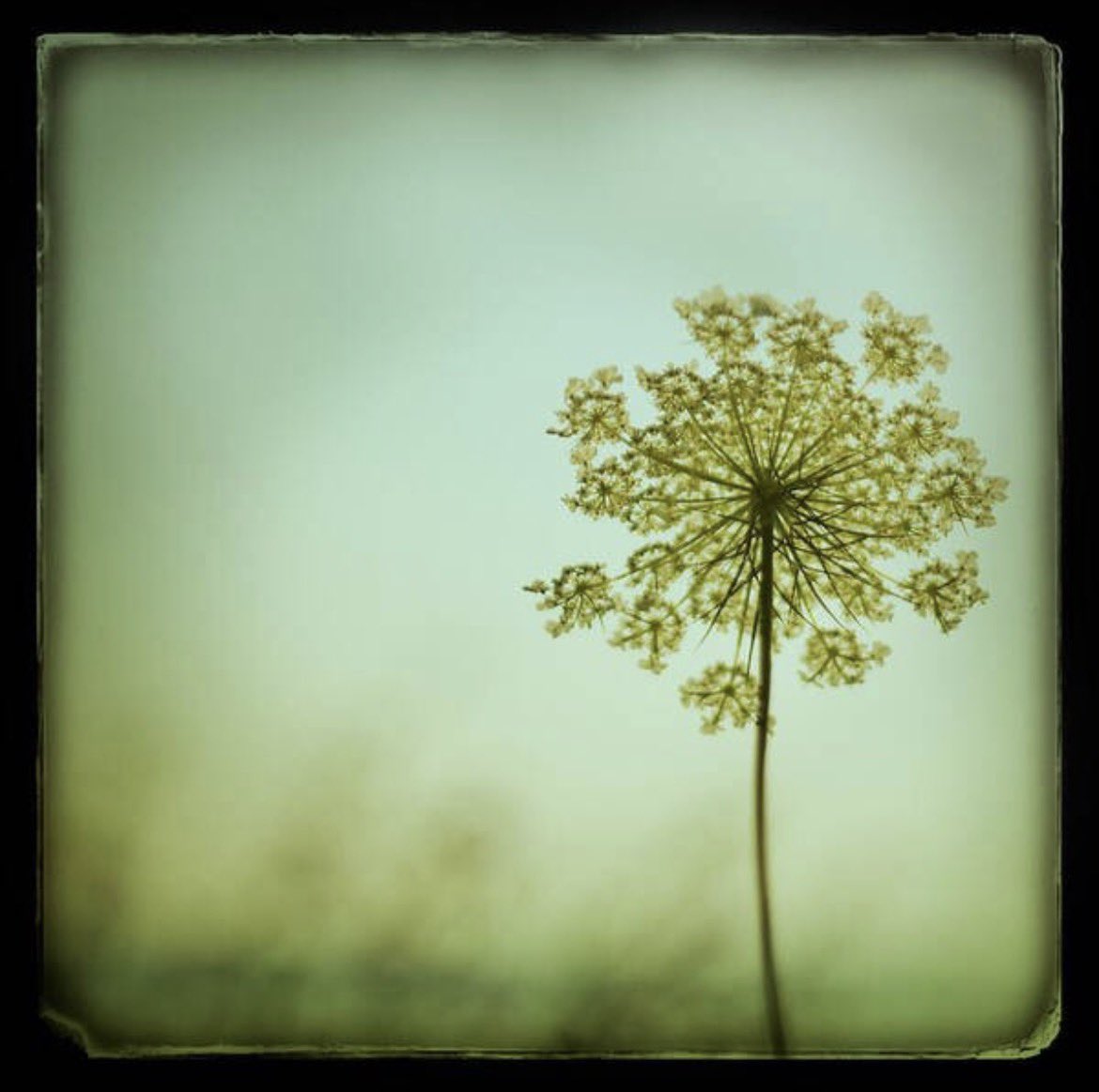 thewb64's tweet photo. #onepicpoetry #180

and the sky knew
 how i’d reach 
the smaller light 
from the bigger bang 
   every moment 
 born of the moment before 
and sometimes my thoughts 
  aren’t so far from wrong https://t.co/faVEht1fEi