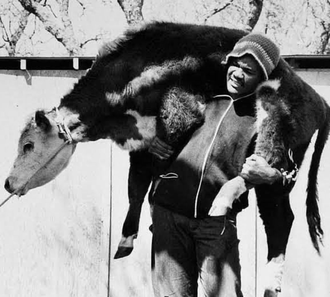 CAAN_Inc's tweet photo. 🐮💪🏽🙏❤️🥊

#motivationmonday Miss you George! Rip 🙏

#texas #cowboy #GeorgeForeman #boxingtraining https://t.co/vuTPrnxFAM