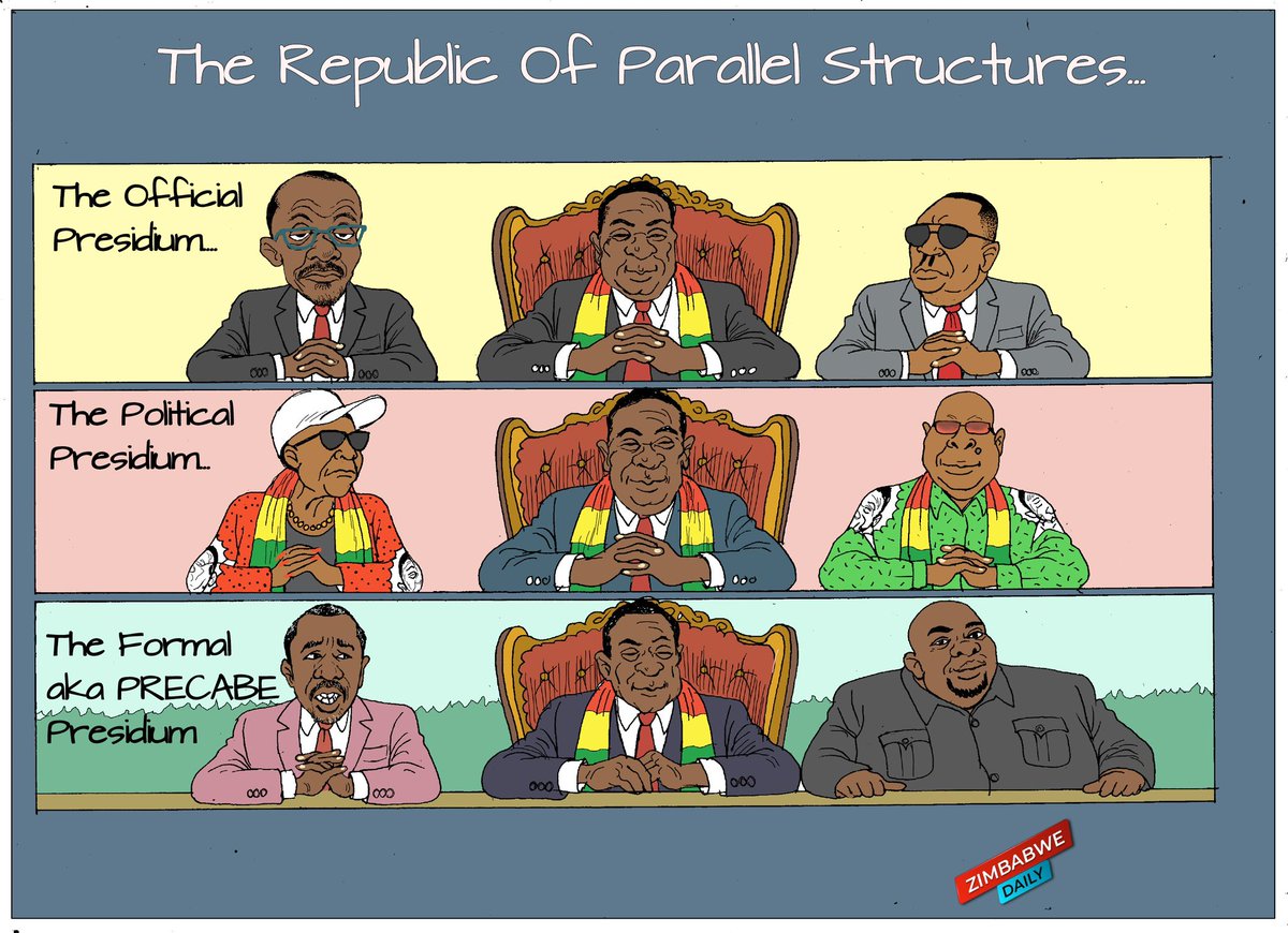 zimDaily tweet media