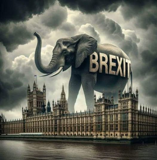 European Unity #FBPE #RejoinEU🇪🇺🇺🇦🇨🇦#NAFO tweet media