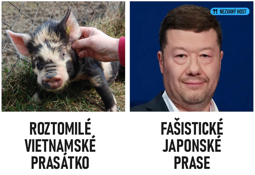 Nezvaný host 🇨🇿 tweet media