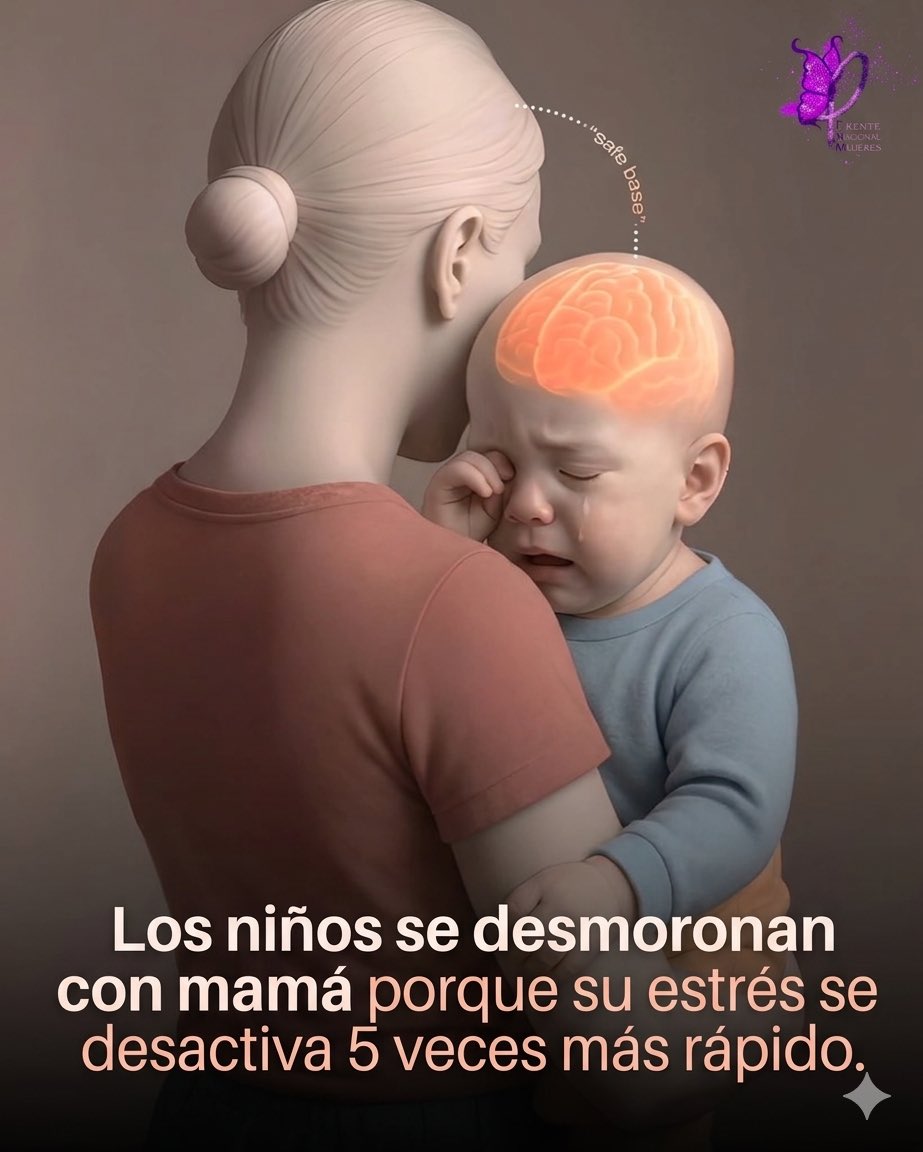 Frente Nacional Mujeres tweet media