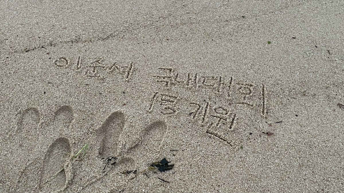 우린 강릉 바다에다가
준서 밀라노 Go  이준서 국내대회 1등 기원
이런 거 쓰는데 준서는
구독 좋아요♡ 이러고 있고