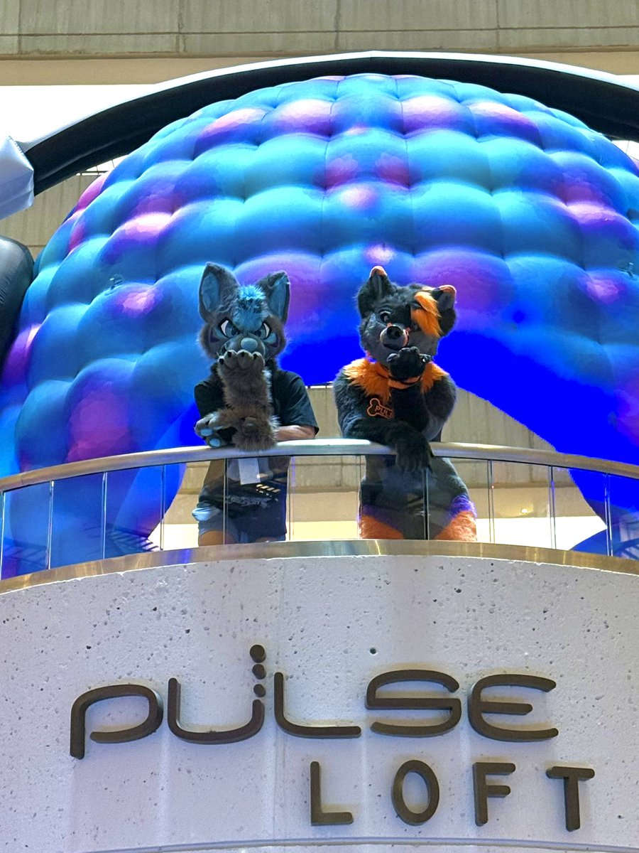 Pulse tweet media