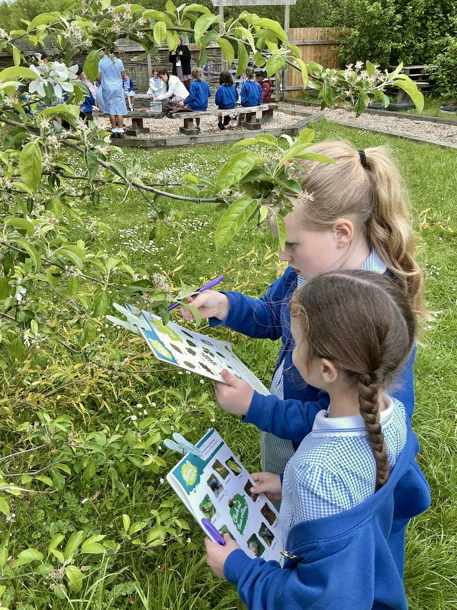 Blackmoor Park Infant School & Kindergarten tweet media