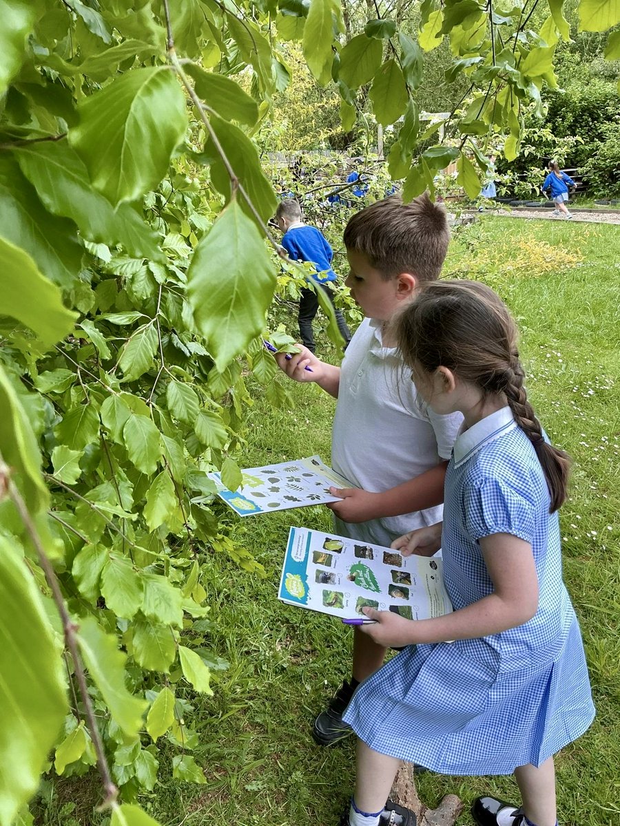 Blackmoor Park Infant School & Kindergarten tweet media