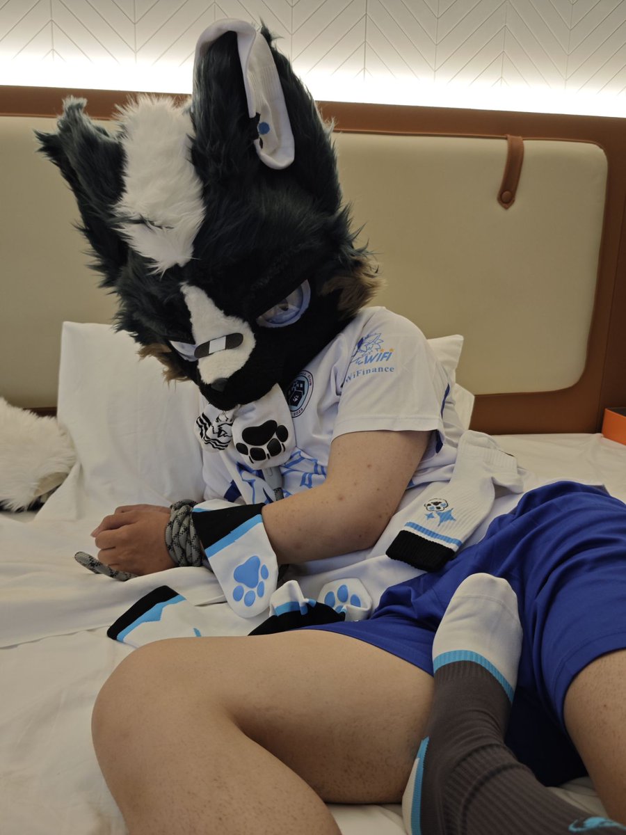 犬犬犬犬野 tweet media